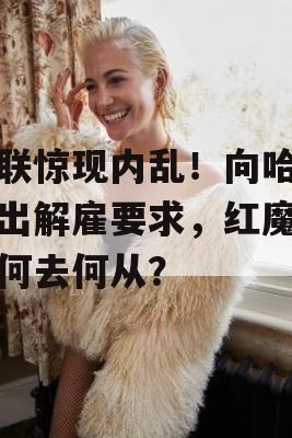 曼联惊现内乱！向哈格发出解雇要求，红魔未来何去何从？