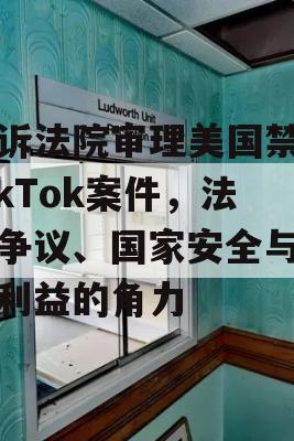 上诉法院审理美国禁止TikTok案件，法律争议、国家安全与商业利益的角力