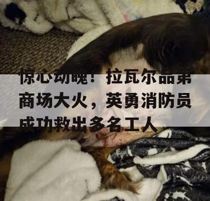 惊心动魄！拉瓦尔品第商场大火，英勇消防员成功救出多名工人