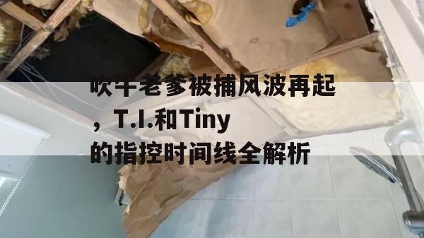 吹牛老爹被捕风波再起，T.I.和Tiny的指控时间线全解析