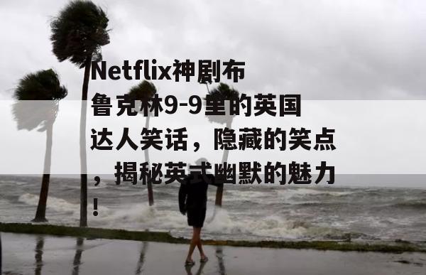 Netflix神剧布鲁克林9-9里的英国达人笑话，隐藏的笑点，揭秘英式幽默的魅力！