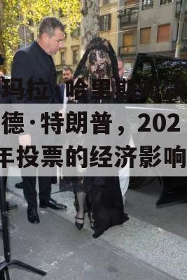 卡玛拉·哈里斯对决唐纳德·特朗普，2024年投票的经济影响分析