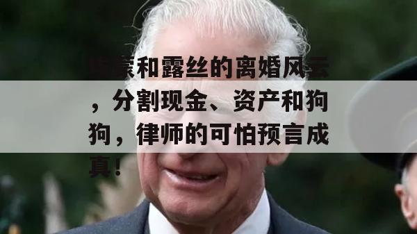 埃蒙和露丝的离婚风云，分割现金、资产和狗狗，律师的可怕预言成真！