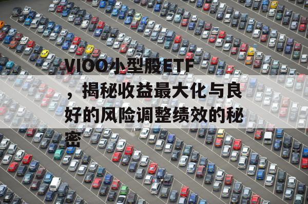 VIOO小型股ETF，揭秘收益最大化与良好的风险调整绩效的秘密