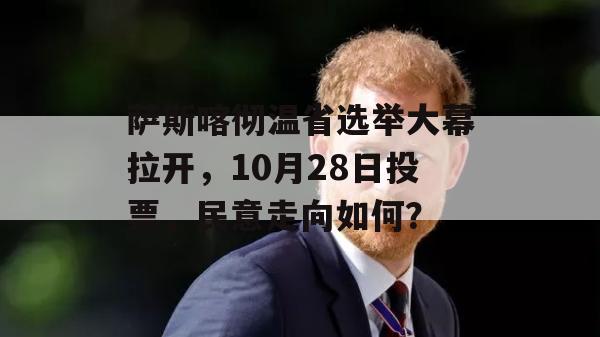 萨斯喀彻温省选举大幕拉开，10月28日投票，民意走向如何？