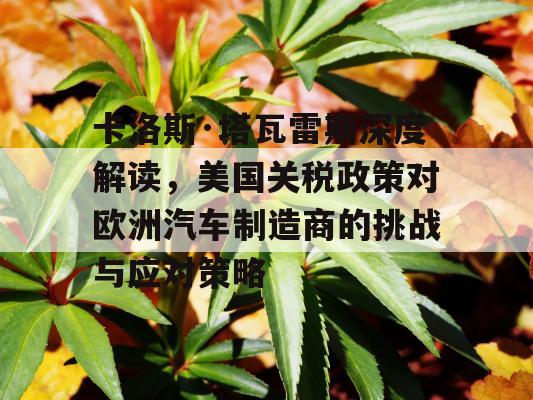 卡洛斯·塔瓦雷斯深度解读，美国关税政策对欧洲汽车制造商的挑战与应对策略