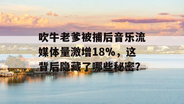 吹牛老爹被捕后音乐流媒体量激增18%，这背后隐藏了哪些秘密？