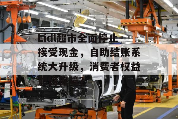 Lidl超市全面停止接受现金，自助结账系统大升级，消费者权益如何保障？