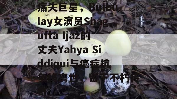 痛失巨星，Bulbulay女演员Shagufta Ijaz的丈夫Yahya Siddiqui与癌症抗争终离世，留下不朽传奇