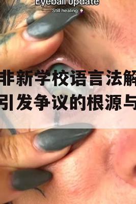 南非新学校语言法解析，引发争议的根源与影响