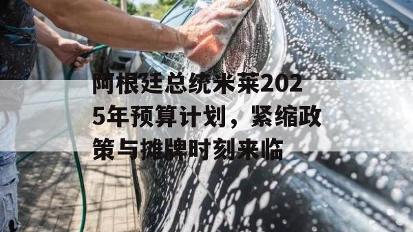 阿根廷总统米莱2025年预算计划，紧缩政策与摊牌时刻来临