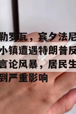 沙勒罗瓦，宾夕法尼亚州小镇遭遇特朗普反移民言论风暴，居民生活受到严重影响