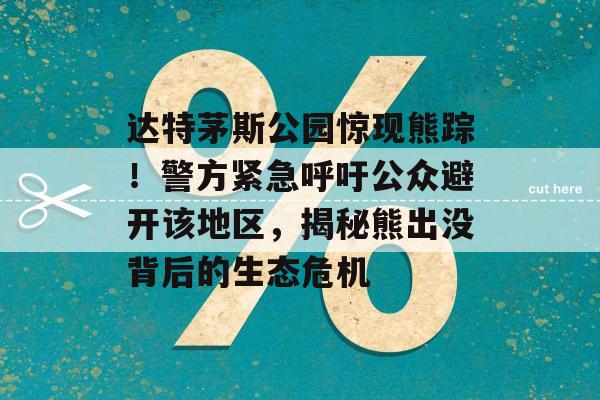 达特茅斯公园惊现熊踪！警方紧急呼吁公众避开该地区，揭秘熊出没背后的生态危机