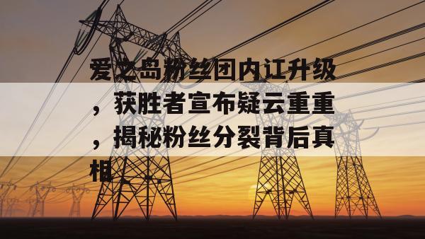 爱之岛粉丝团内讧升级，获胜者宣布疑云重重，揭秘粉丝分裂背后真相