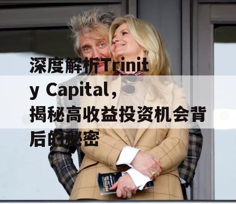 深度解析Trinity Capital，揭秘高收益投资机会背后的秘密