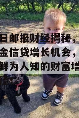 每日邮报财经揭秘，养老金信贷增长机会，揭秘鲜为人知的财富增值途径！