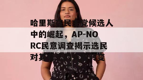 哈里斯在民主党候选人中的崛起，AP-NORC民意调查揭示选民对其看法的有利转变