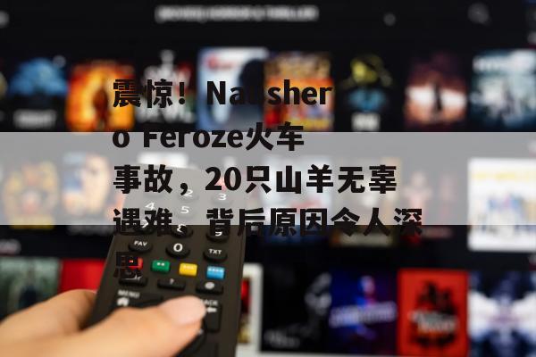 震惊！Naushero Feroze火车事故，20只山羊无辜遇难，背后原因令人深思