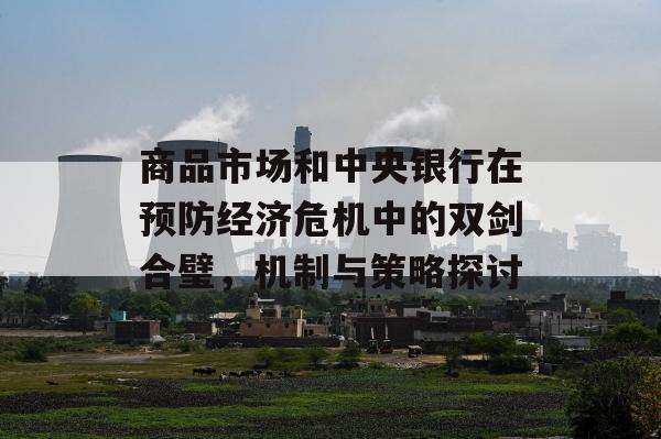 商品市场和中央银行在预防经济危机中的双剑合璧，机制与策略探讨