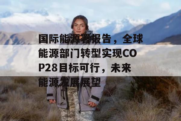 国际能源署报告，全球能源部门转型实现COP28目标可行，未来能源发展展望