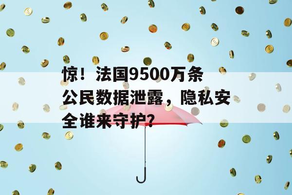 惊！法国9500万条公民数据泄露，隐私安全谁来守护？