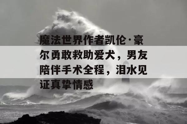 魔法世界作者凯伦·豪尔勇敢救助爱犬，男友陪伴手术全程，泪水见证真挚情感