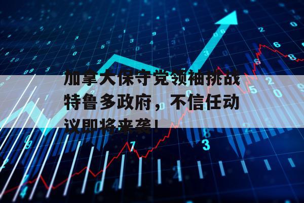 加拿大保守党领袖挑战特鲁多政府，不信任动议即将来袭！