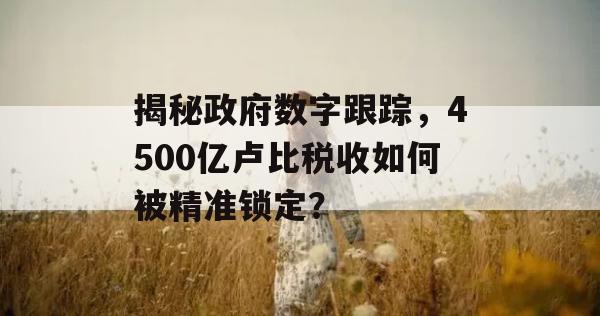 揭秘政府数字跟踪，4500亿卢比税收如何被精准锁定？