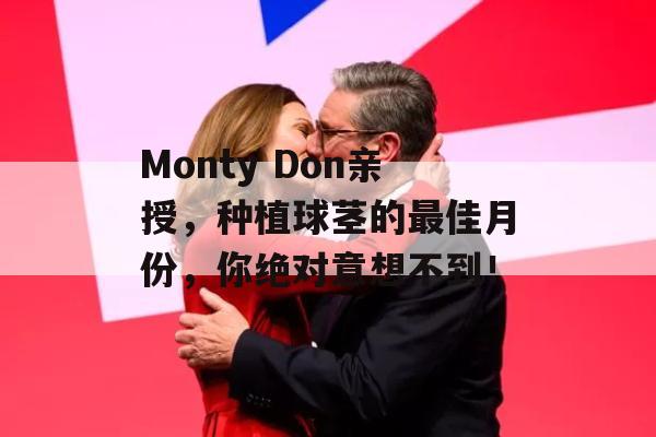 Monty Don亲授，种植球茎的最佳月份，你绝对意想不到！