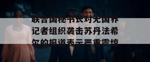 联合国秘书长对无国界记者组织袭击苏丹法希尔的报道表示严重震惊