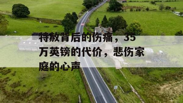 特赦背后的伤痛，35万英镑的代价，悲伤家庭的心声