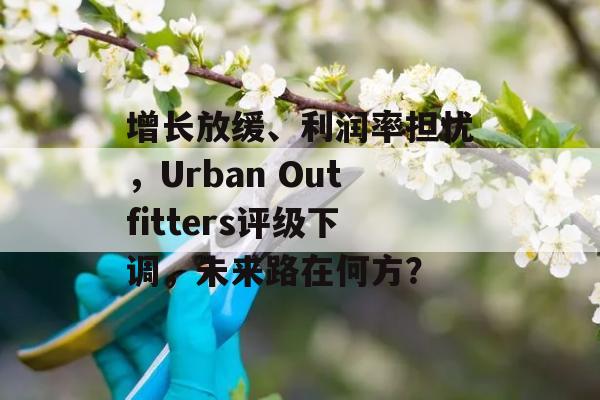 增长放缓、利润率担忧，Urban Outfitters评级下调，未来路在何方？