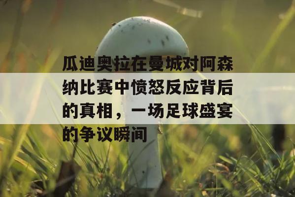 瓜迪奥拉在曼城对阿森纳比赛中愤怒反应背后的真相，一场足球盛宴的争议瞬间