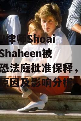 PTI律师Shoaib Shaheen被反恐法庭批准保释，背后原因及影响分析