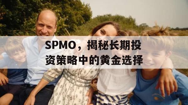 SPMO，揭秘长期投资策略中的黄金选择