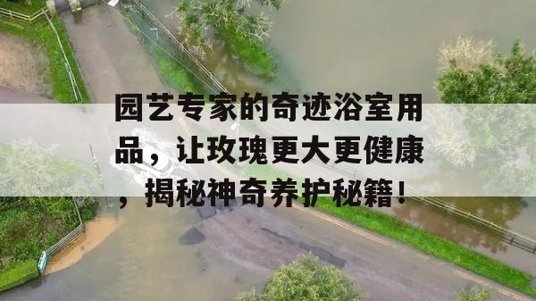 园艺专家的奇迹浴室用品，让玫瑰更大更健康，揭秘神奇养护秘籍！