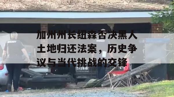 加州州长纽森否决黑人土地归还法案，历史争议与当代挑战的交锋