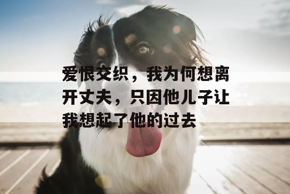 爱恨交织，我为何想离开丈夫，只因他儿子让我想起了他的过去