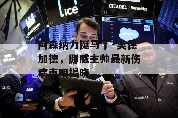 阿森纳力挺马丁·奥德加德，挪威主帅最新伤病声明揭晓