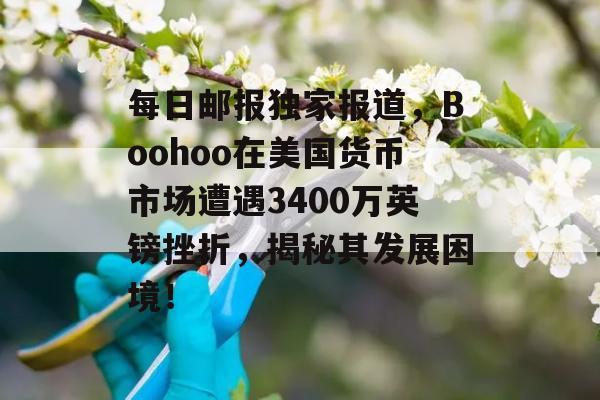 每日邮报独家报道，Boohoo在美国货币市场遭遇3400万英镑挫折，揭秘其发展困境！