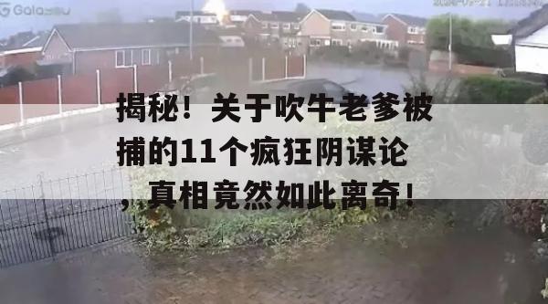 揭秘！关于吹牛老爹被捕的11个疯狂阴谋论，真相竟然如此离奇！