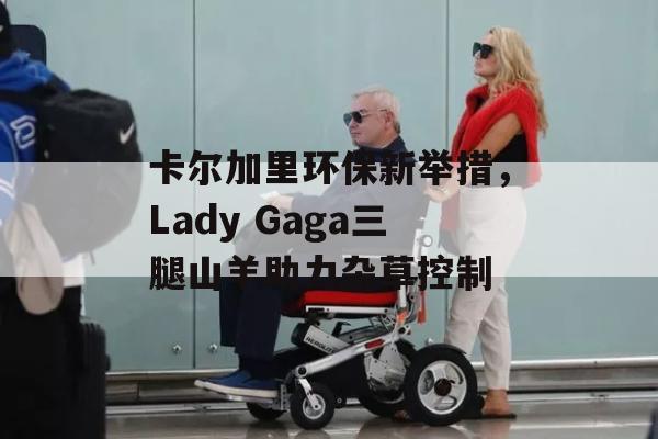 卡尔加里环保新举措，Lady Gaga三腿山羊助力杂草控制