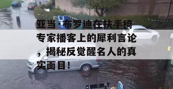 亚当·布罗迪在扶手椅专家播客上的犀利言论，揭秘反觉醒名人的真实面目！