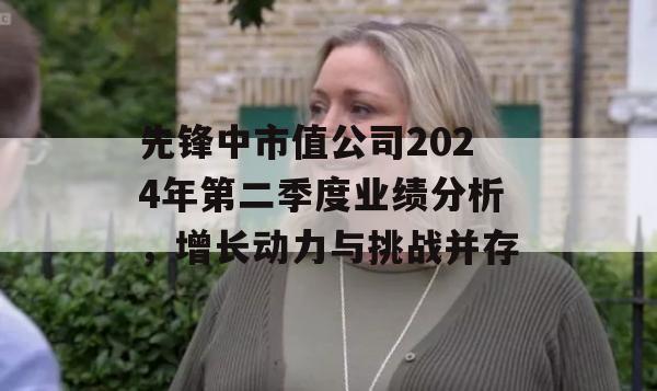 先锋中市值公司2024年第二季度业绩分析，增长动力与挑战并存