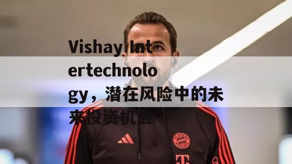 Vishay Intertechnology，潜在风险中的未来投资机会