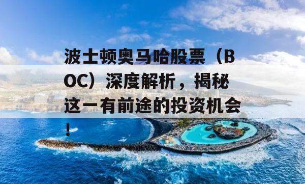 波士顿奥马哈股票（BOC）深度解析，揭秘这一有前途的投资机会！