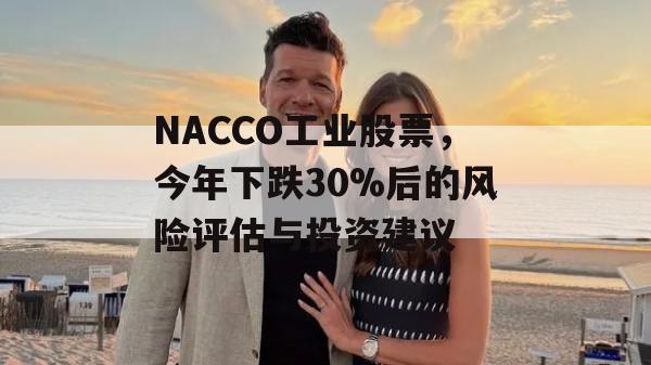 NACCO工业股票，今年下跌30%后的风险评估与投资建议