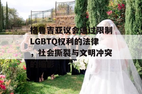 格鲁吉亚议会通过限制LGBTQ权利的法律，社会撕裂与文明冲突的缩影