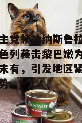 真主党领袖纳斯鲁拉，以色列袭击黎巴嫩为前所未有，引发地区紧张局势