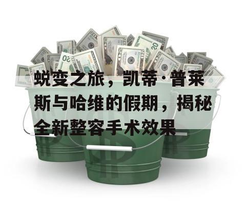 蜕变之旅，凯蒂·普莱斯与哈维的假期，揭秘全新整容手术效果